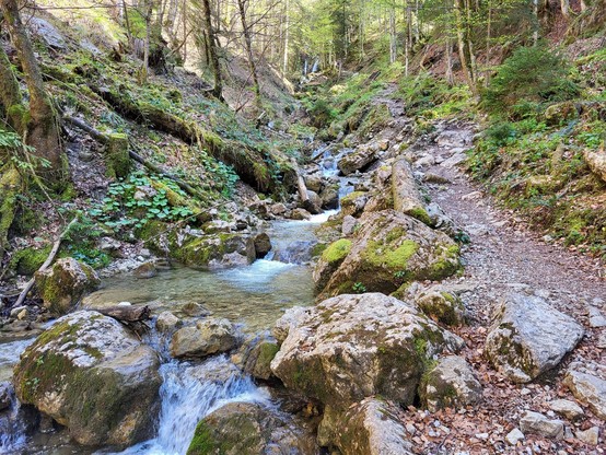 A serene scene of a stream gently flowing through a lush forest is depicted in this image. The forest is filled with various shades of green from the trees and plants surrounding the stream. A large rock covered in vibrant green moss sits in the middle of the stream, adding to the natural beauty of the landscape. The water is clear and reflects the surrounding trees and sky. The overall atmosphere is peaceful and tranquil, making it a perfect spot for relaxation and contemplation. The image cap…