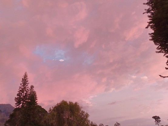 Nature Sunset.

This photograph has no filters; its appearance was a natural capture already towards the end of the afternoon, it has a subtle enhancement of sharpness and brightness.
#beautiful_clouds #Cloud #colors_clouds #Idyllic #Nature  #Outdoors #snap_allnature #ScenicsNature #Sky  #snap_alltrees #snap_depthoffield #snap_skies #Sunset #Tranquility #Tree