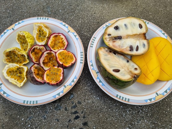 Ein Teller mit aufgeschnittenen Maracujas und Passionsfrüchten sowie ein Teller mit aufgeschnittenen Cherimoya und Mango, beide auf meinem schon etwas schäbigen Gartentisch.