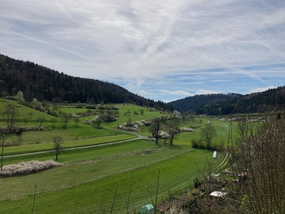 Landschaft bei Mühlheim an der Donau