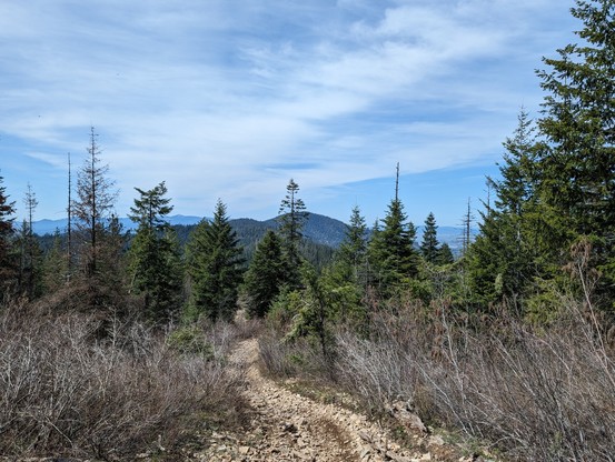 You looking out from the trail into the forest. there's a layer of trees in the front with the hills right behind it. the lowlands you can peek at just beyond those hills. The sky is blanketed with clouds that appear to be emerging flowing over us from the distance