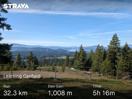the view looking out over the lake from the trail. the tees are green and the sky is blue. there are a few Nana of clouds stretching across the sky. the mountains in the distance are a little hazy.