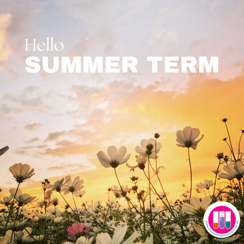 Sunrise, orange sky with spring flowers in foreground. Text reads Hello Summer term