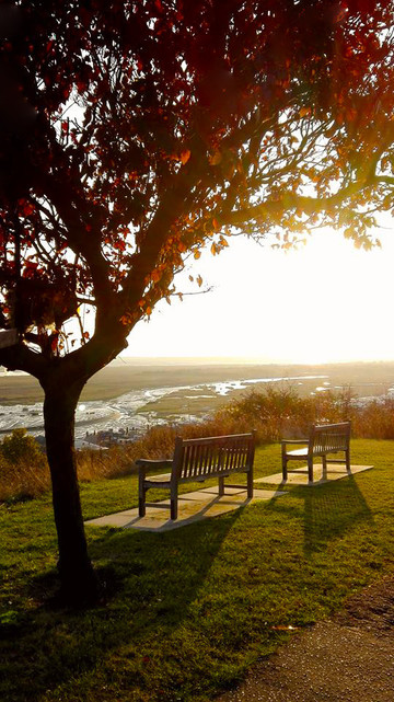 bench