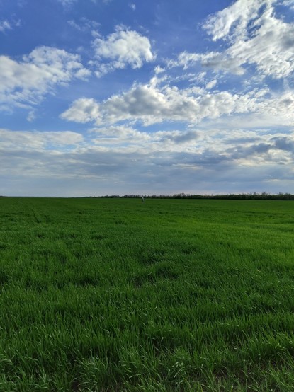 Beautiful field and sky