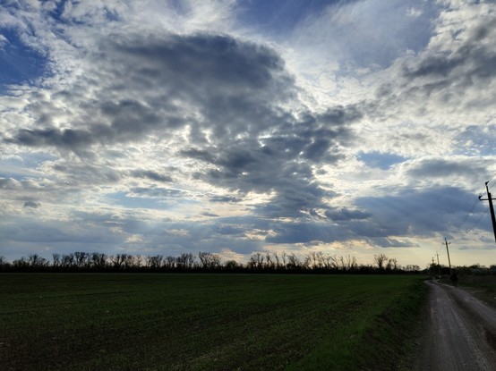Beautiful field and sky