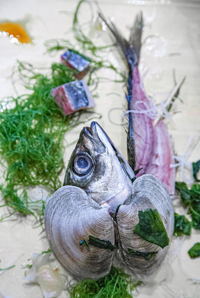 Picture of dead fish cut in half.