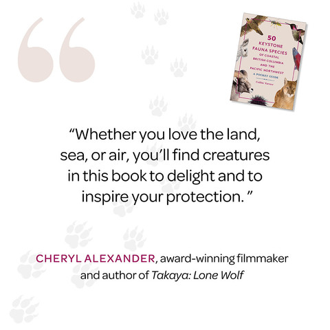 “Whether you love the land, sea, or air, you’ll find creatures in this book to delight and to inspire your protection.” —Cheryl Alexander, award-winning filmmaker and author of Takaya: Lone Wolf
50 Keystone Fauna Species of Coastal British Columbia and the Pacific Northwest: A Pocket Guide
By Collin Varner
Publication Date: April 30, 2024
