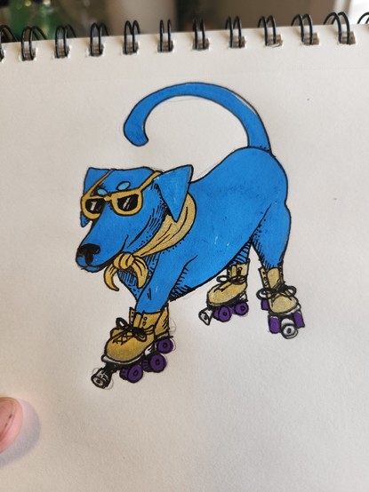Posca and ink sketch of a blue dachshund with gold sunglasses and roller skates