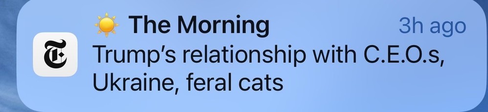 A screenshot of a social media post with a text snippet mentioning "The Morning", "Trump’s relationship with C.E.O.s, Ukraine, feral cats" and a timestamp of "3h ago". The post features an icon resembling a newspaper. 