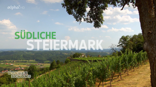 A piece of "Ribiselkuchen" and a cool glass of "Schilcher" are part of a trip to southern Styria like a trip on the historic "Stainzer Flascherlzug" or the sound of the "Klapotetze", the bizarre scarecrows of birds in the region. Tamina Kallert explores the well-known pleasure region in Austria together with the actor and director Lorenz Kabas. With him she discovers the lively cultural city of Graz, makes a detour to the famous Lipizzaner stud in Piber and visits the "world machine" of the wasteland farmer Franz Gsellmann.