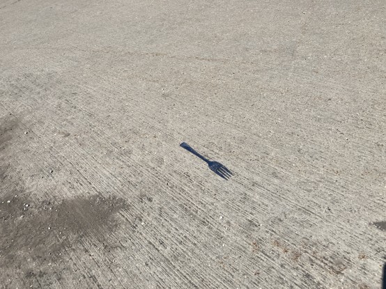 A fork in the road… literally!