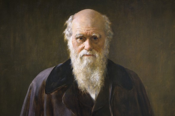 Portrait painting of Charles Darwin, by Joan Collier (1883).
Fries museum, Leeuwarden.