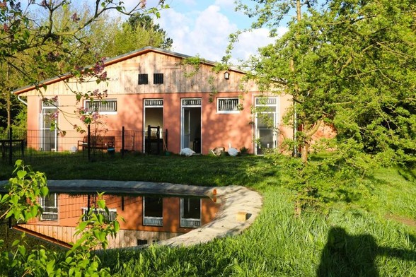 Ein Teich, der von einer grünen Wiese umgeben ist. Im Hintergrund sind ein oranges Haus, Haus #2, und Bäume.
