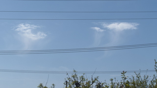 Three very small, fluffy white clouds on an otherwise mostly clear blue sky, with long virga below, giving them a sort of jellyfish appearance 