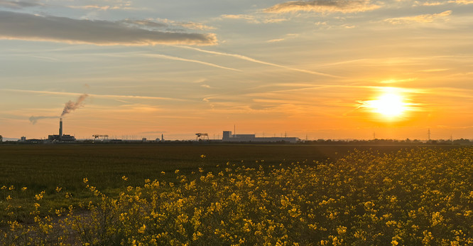 Motiv: Ein Sonnenuntergang über einem Feld mit gelben Blumen und Industrieanlagen am Horizont.
Bildformat: Querformat
Genre: Landschaftsfotografie
Hintergrund: Der Himmel ist in warme Farben des Sonnenuntergangs getaucht, durchzogen von Wolken und Rauchfahnen, die von Schornsteinen einer Fabrik ausgehen.
Farben: Dominante Farben sind Gelb der Blumen, Grün der Felder, Grau der industriellen Strukturen und ein Gradient von Orange bis Blau im Himmel.