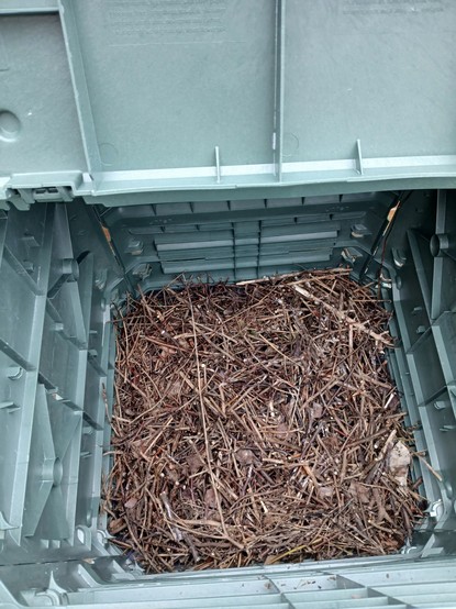 Couche de branchages