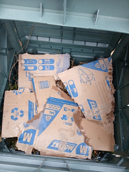 Prêt à l emploi avec branchages, déchets verts,  biodechets et carton