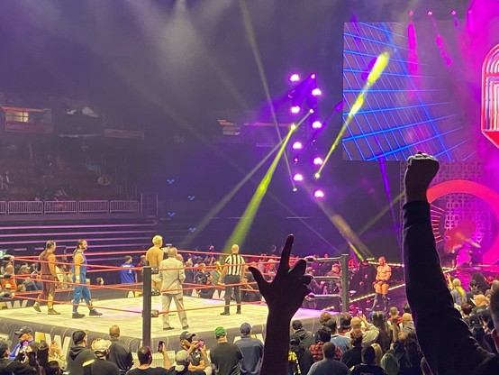 Intros to The Elite v. FTR & PAC main event