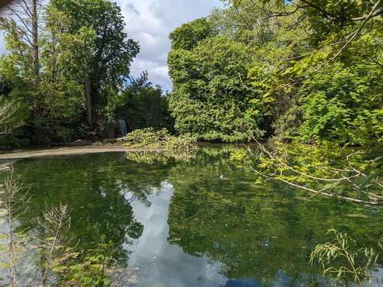 Photo d'un lac entouré d'arbres verts, on distingue deux canards sur l'eau