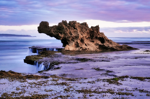 The spectacular rock formations makes this pristine ocean beach a must visit destination for photographers. Number 16 Beach is best visited at low tide to explore the rock pools, catch a fish or to get the best shot of 'Dragon Head Rock'.
