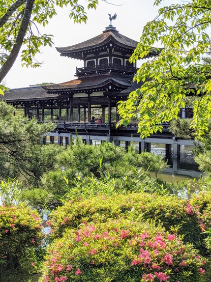 Azaleas bloom close to the Hashi-dono, a covered bridge within the gardens at Heian Jingu.