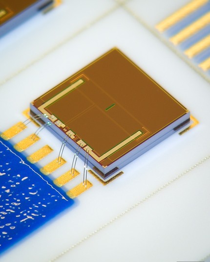 The illustration shows a top view of the compact 5x5mm2 ion-sensitive field-effect transistor, which is glued as a non-encapsulated chip to a white electronic board (probably made of Teflon). Bonding wires lead from the board to the top of the chip, where a green stripe can be seen in the center, representing the sensory active area. The novel sensor layer is not based on the critical material tantalum, but uses a different amphoteric metal oxide. Depending on the pH value, hydroxide or hydronium ions from the solution to be tested are reversibly deposited there. The voltage between the source and gate or the external silver/silver chloride reference electrode is used as the measurement signal. Making conventional reference electrodes redundant and developing a purely chip-based system is another of the institute's research goals (Copyright: Fraunhofer IPMS).