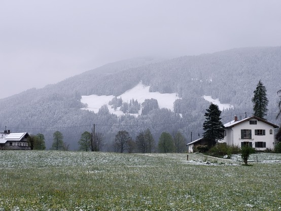 A picturesque scene of a house situated in a serene field covered with a blanket of snow on the side. The landscape features lush green grass, tall trees scattered throughout, and a cloudy sky overhead. In the background, a snow-capped mountain can be seen, adding to the tranquil and scenic setting. The house, with snow dusting its roof, stands out against the grey winter backdrop. The image captures the essence of a rural area in winter, with a peaceful and calming atmosphere. This idyllic win…