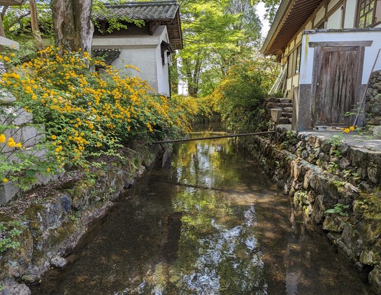 Matsunoo Taisha's Ichinoigawa (canal) is thought to date from the founding of the shrine in 701.