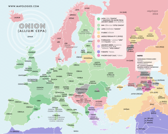 Etymology map of onion