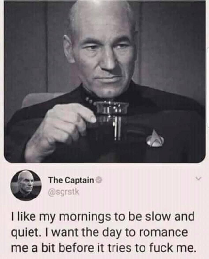 A picture of a tweet and Capt Picard drinking tea saying “I like my mornings quiet and slow. I want the day to romance me before it fucks me”