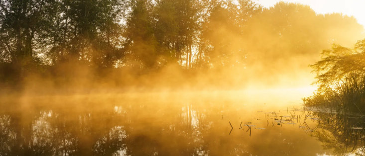 Foto: Nebel über einem See im Morgenlicht

----

Der photomolekulare Effekt tritt überall da auf, wo sichtbares Licht auf Wasser trifft. Damit sollte er in der Natur weit verbreitet sein – von der Wolkenbildung über Nebelfelder hin zu Ozeanen und der Transpiration von Pflanzen.