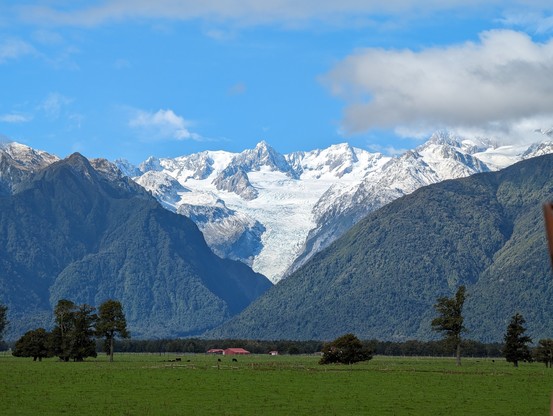 Photo of Fox Glacier which runs down a steep mountainface between snowy peaks. In the foreground are some smaller, tree-covered mountains, a grassy plain, farm buildings, and cows.