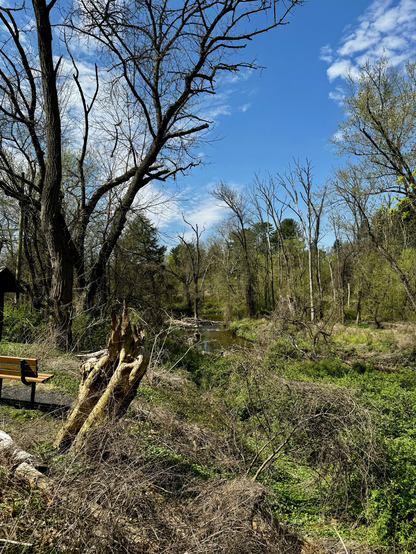 Pennypack Trail 