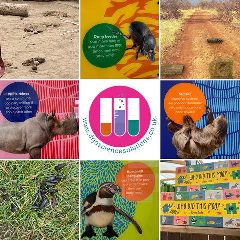9 square images of elephant poo, Mara poo, a poo game, poo facts and dr Jo logo in the centre 
