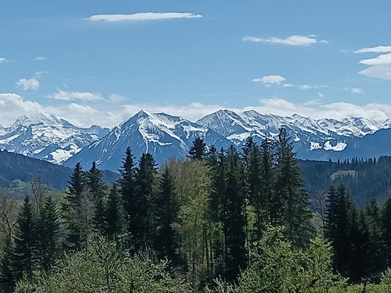 Sicht auf den Niesen und weitere Berge vor blauem Himmel. Sie haben noch etwas Schnee. Im Vordergrund ein Wald.