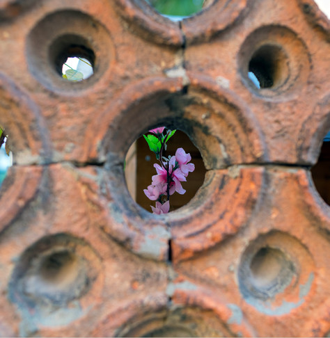 Foto: Wand aus Ziegelsteinen, die kunstvoll Löcher lassen, fotografiert mit Fokus auf eine durch ein Loch aufgenommene Orchidee