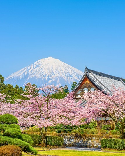 Spring in Fujinomiya, Japan 🇯🇵