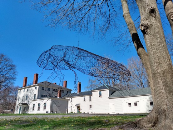 A wire sculpture bug hangs from an old tree in the back yard area of the Heard House, an 1800-ish Federalist square large front house with several small lower ells behind. 

The insect in the foreground must be 4 or 5 feet long, and shoulder to leg tip about 3 feet. It is suspended from a single wire and drifts a little in the wind. The black wire forms a clear head, abdomen, and folded-in wings. Its legs dangle down beneath. 

I took the shot from down the hill a bit so you can see the blue sky through most of the sculpture. It kind of makes it look like a pen sketch of an insect on a photo this way. 

It's both ominous and interesting.