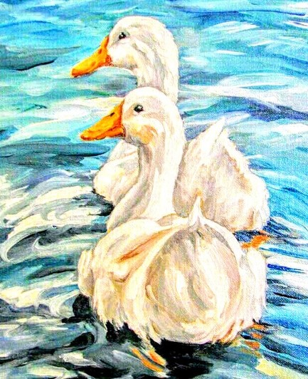 White geese in water 