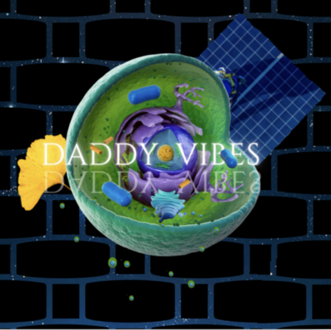 A cell in three quarter dissection, with mitochondria, golgi apparati and a nucleus of royal purple, turquoise, golden and fern tones.  A ginko biloba leaf sits behind, as does a blue solar panel with a daddy at work.  Daddy Vibes is mirrored in illuminated capital text. Space as a far background, beyond the space debris represented by a digital brick wall.