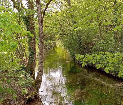 Auf der Brücke über einen Bach, mitten im Wald. Die Bäume und Sträucher sind hellgrün und spiegeln sich im Wasser.