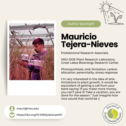 · Mauricio Tejera-Nieves  · Postdoctoral Research Associate  · MSU-DOE Plant Research Laboratory; Great Lakes Bioenergy Research Center  · Photosynthesis, sink-limitation, carbon allocation, perenniality, stress response  · I’m very interested in the idea of sink-limitations to plant growth. It would be equivalent of getting a call from your bank saying ‘If you make more money, you can’t save it! Take a vacation, you are done for the season.” Just imagine how nice would that world be :)  mauri@msu.edu