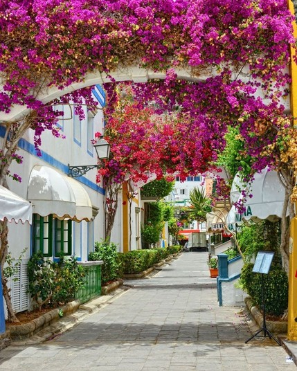 Canary Islands, Spain