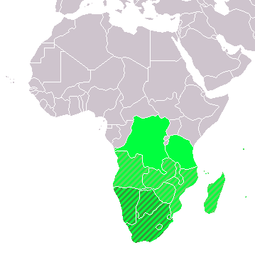 Image: Wikimedia Commons