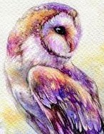 Pastel water color owl