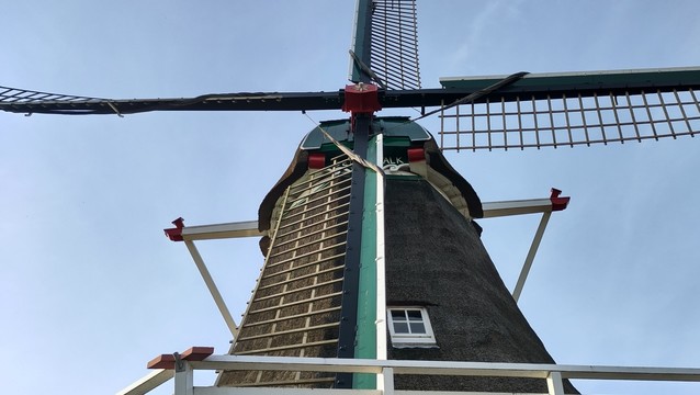 Dutch Windmill