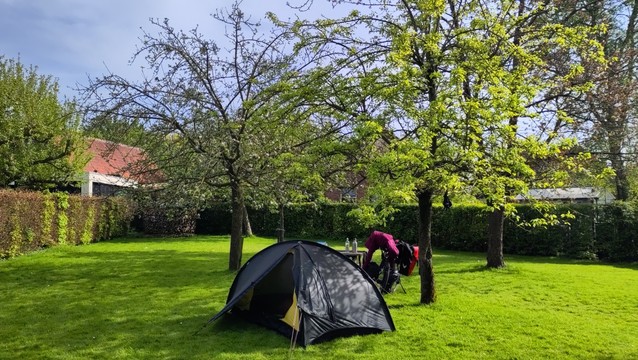 Campground with tent and apple trees