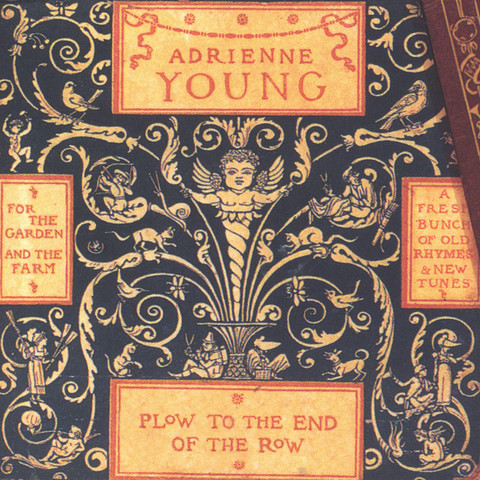  Adrienne Young is a singer-songwriter known for her work with the indie rock band Paramore. She was the lead vocalist and co-founder of the group, which was formed in 2004. In addition to her work with Paramore, Young has also released solo music and collaborated with other artists. She is known for her powerful and emotive voice, as well as her energetic live performances. 