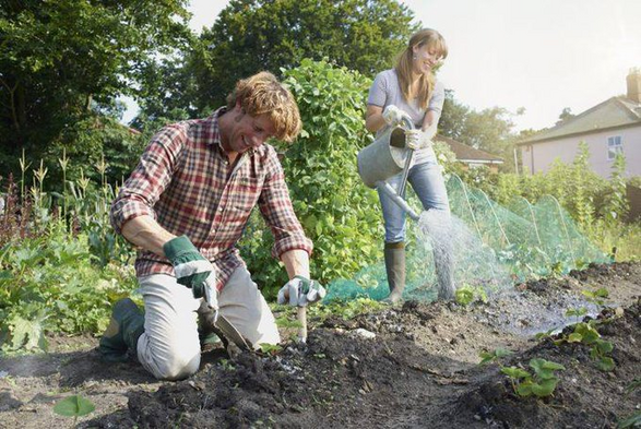 Angstrom Minerals Gardening